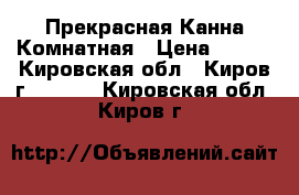 Прекрасная Канна Комнатная › Цена ­ 130 - Кировская обл., Киров г.  »    . Кировская обл.,Киров г.